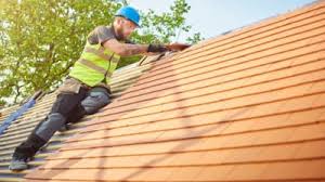 Best Skylight Installation and Repair  in Danvers, IL