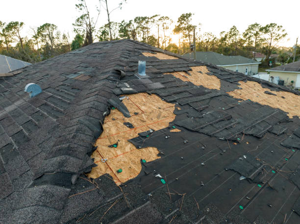 Best Commercial Roofing Services  in Danvers, IL