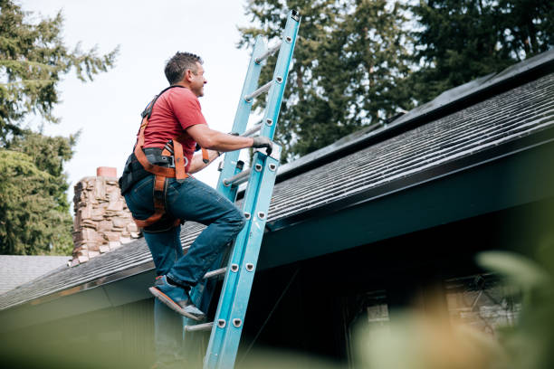 Best Asphalt Shingles Roofing  in Danvers, IL